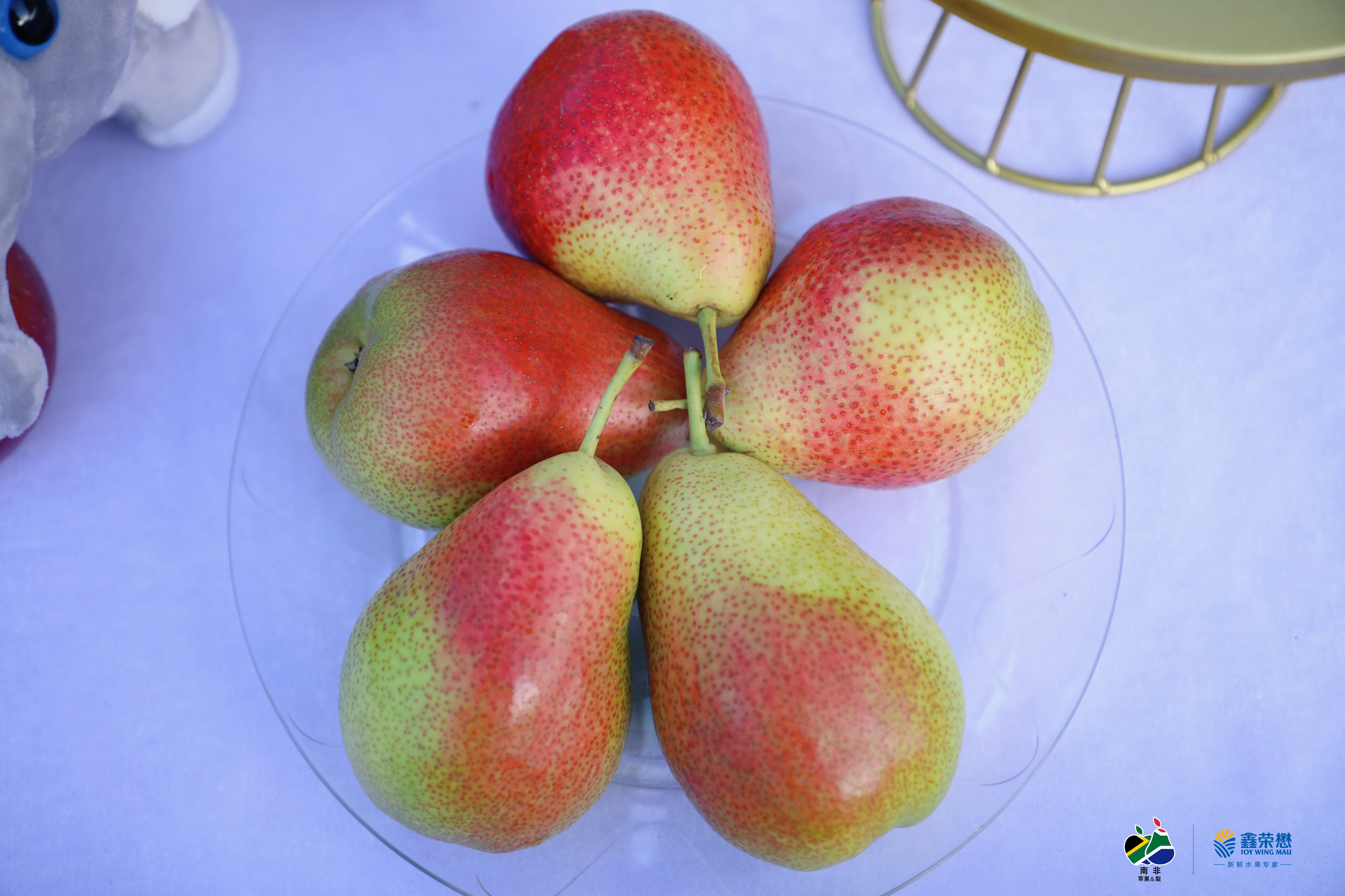 Hortgro And Joy Wing Mau Team Up To Promote South African Apples And Pears In China Produce Report