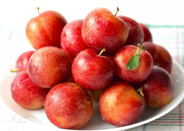 American Cherry Plum Hybrids Build A Bright Future In China Produce