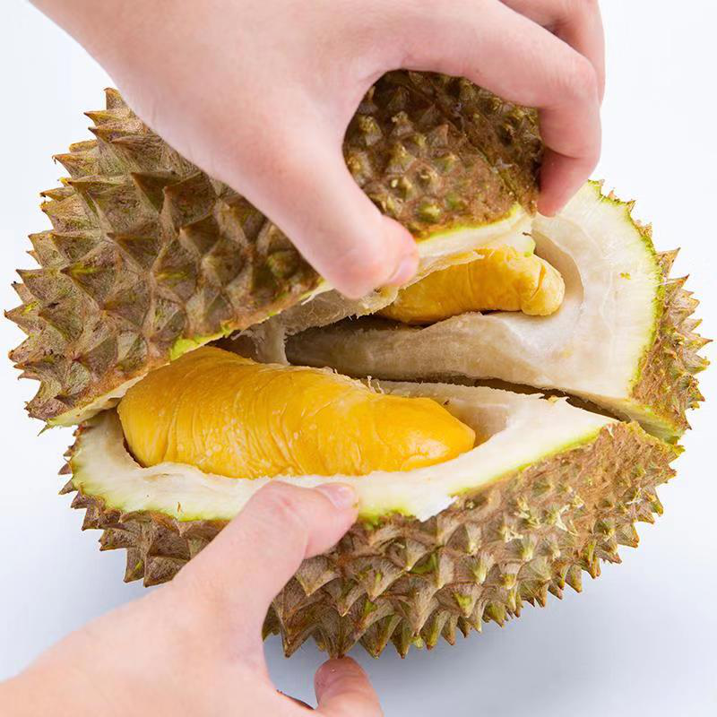 Moodle with a durian flavour. From Malaysia with love.: Chess