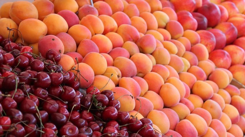 A Grade China Fresh Nectarine Fruit