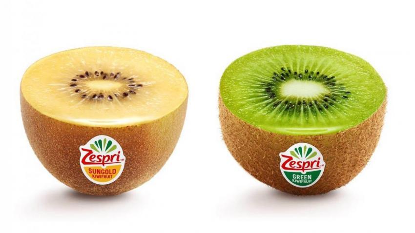 Season's First Shipment of Jingold's Chilean Kiwifruit Reaches China